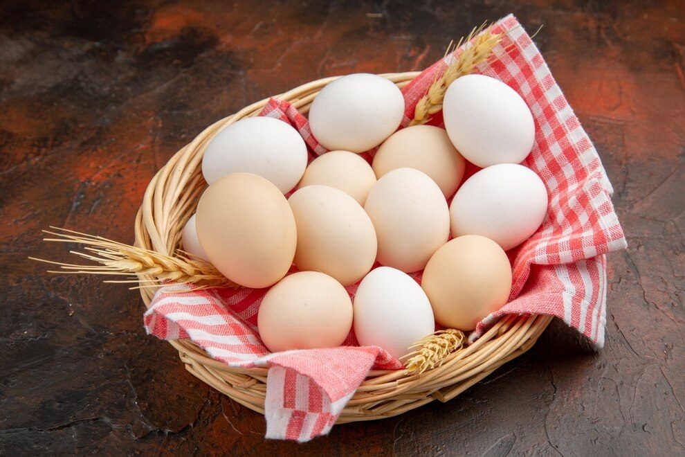 Egg Production