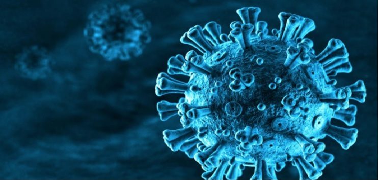 Covid 19 New JN.1 Variant