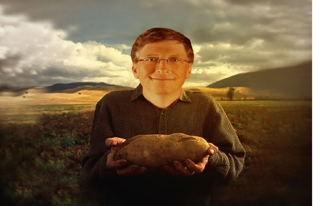 bill gates