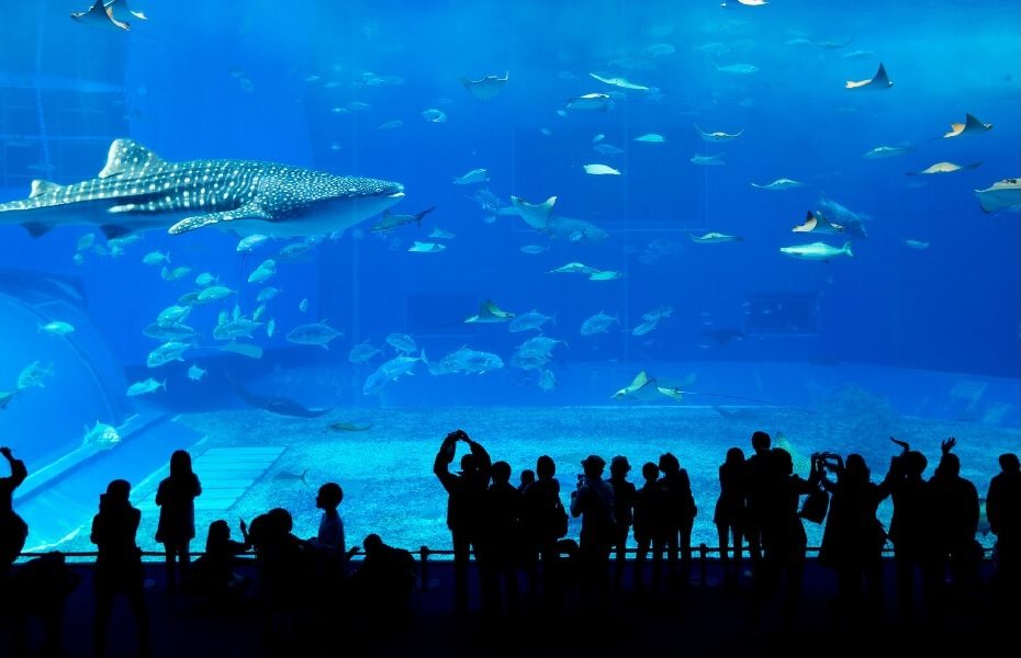 Top Indoor Activities in Dubai