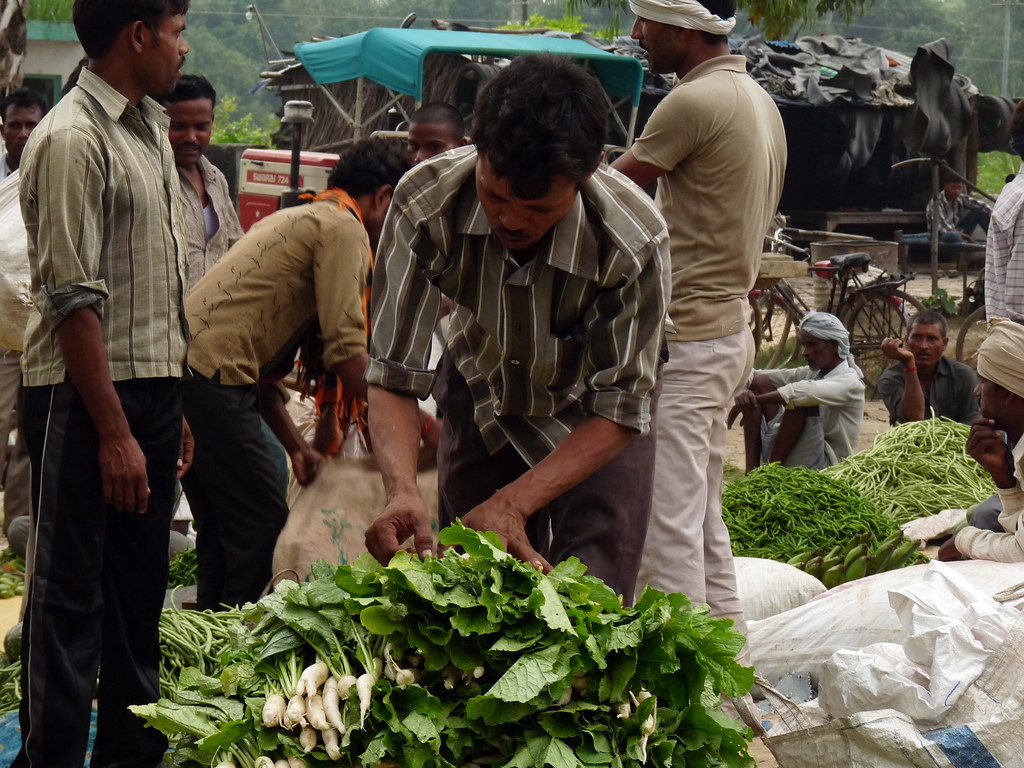 Indian Vegetable Vendor