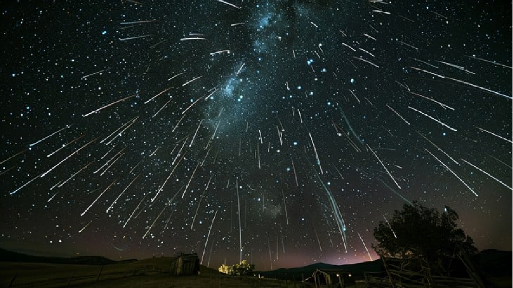 Perseid Meteor
