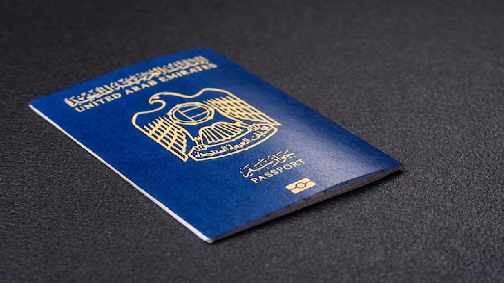 Passport Renewal Window